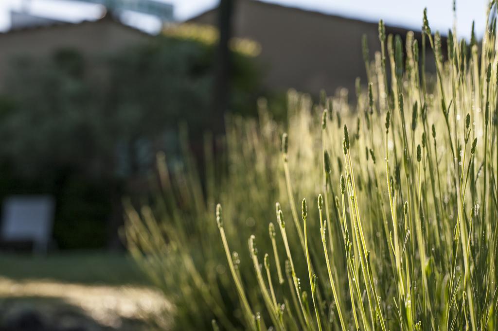 Lafare Le Grand Jardin B&B 외부 사진