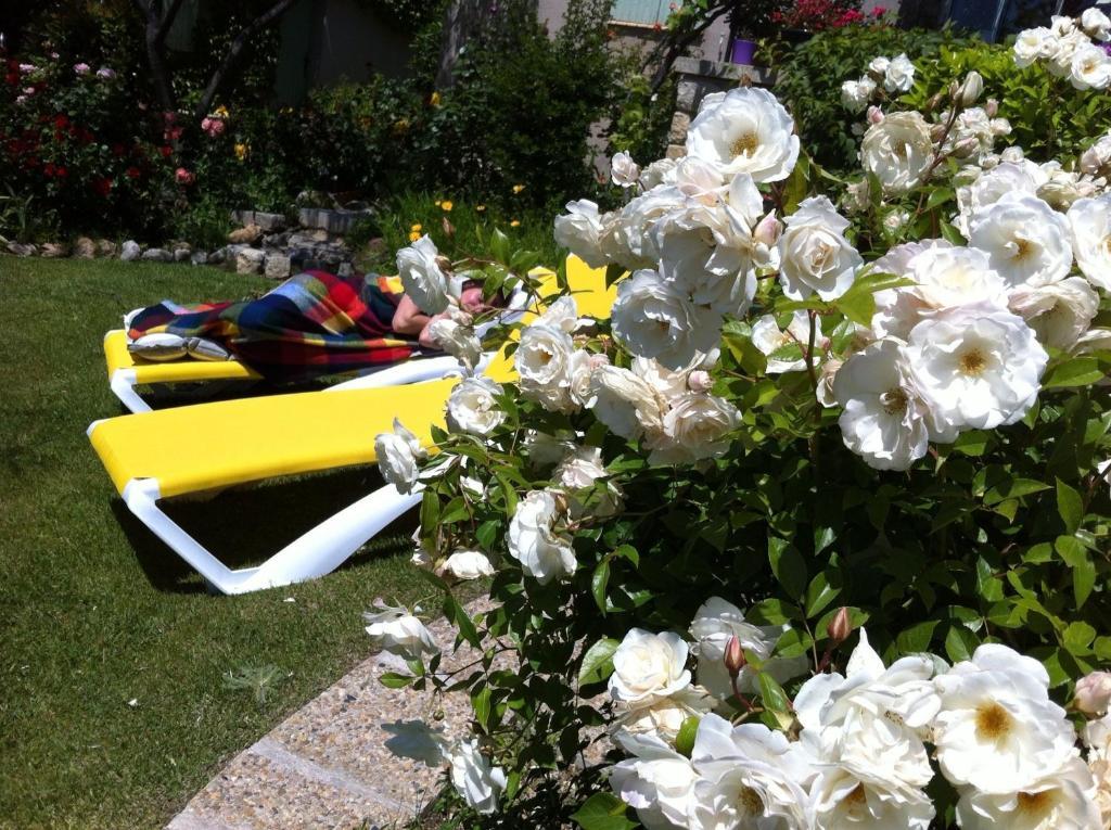 Lafare Le Grand Jardin B&B 외부 사진