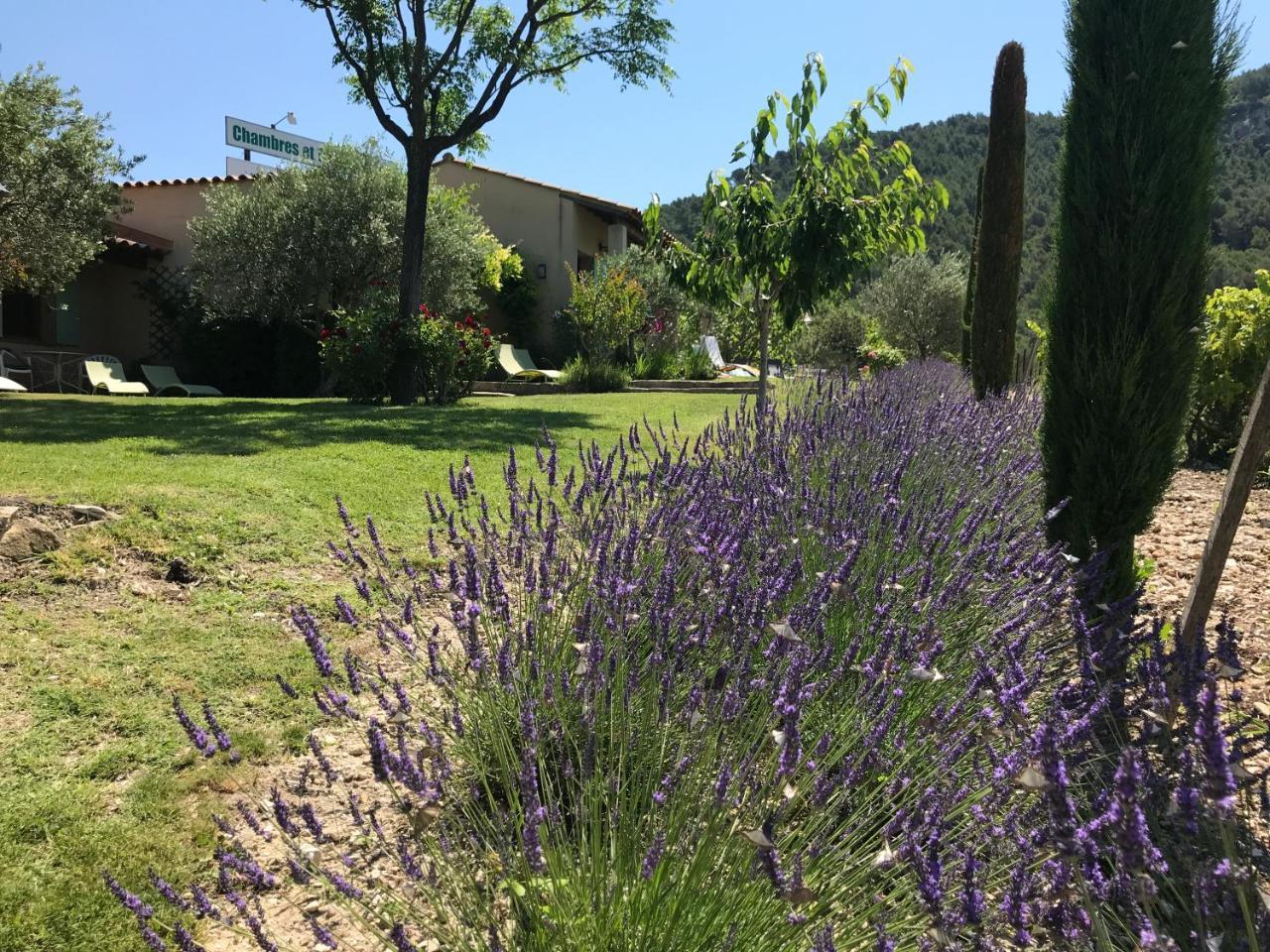 Lafare Le Grand Jardin B&B 외부 사진
