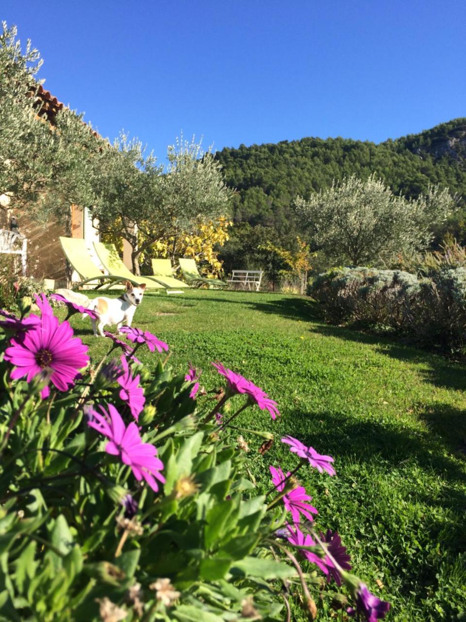 Lafare Le Grand Jardin B&B 외부 사진
